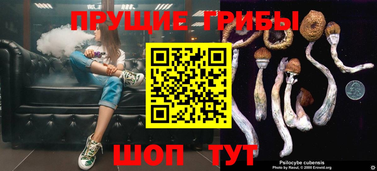 Галлюциногенные грибы Psilocybine cubensis  Вход с VPN  Топки  Псилоцибиновые грибы Cubensis 