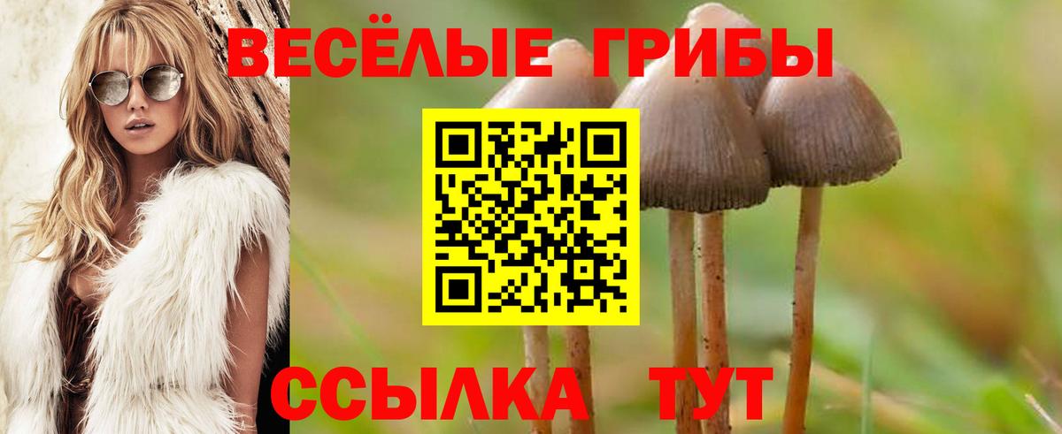 Галлюциногенные грибы MAGIC MUSHROOMS Топки